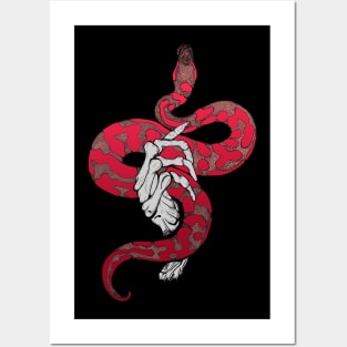 Red snake in skeleton hand Posters and Art